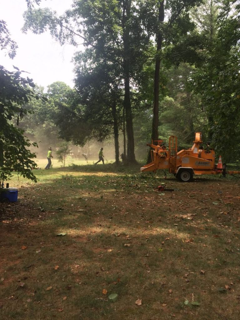 Land Clearing &amp; Lot Clearing Charlotte NC Tree Works NC