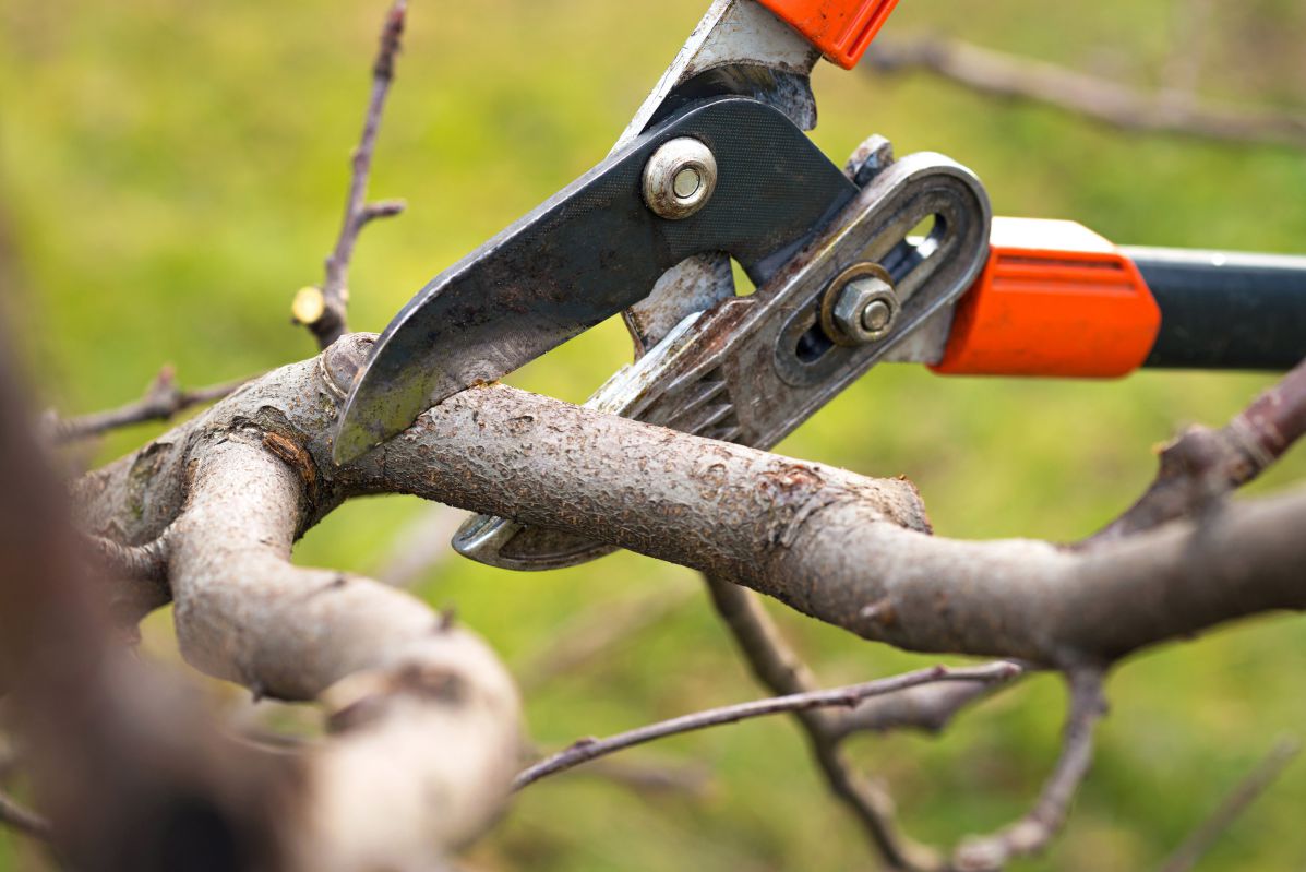 selective_pruning_page_compressed